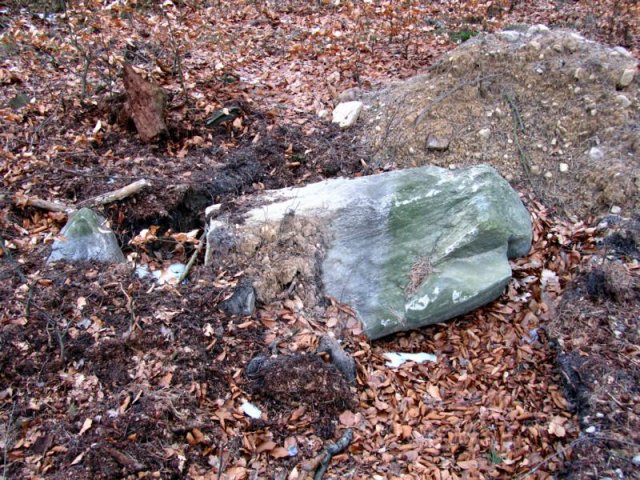 Der Gedenkstein